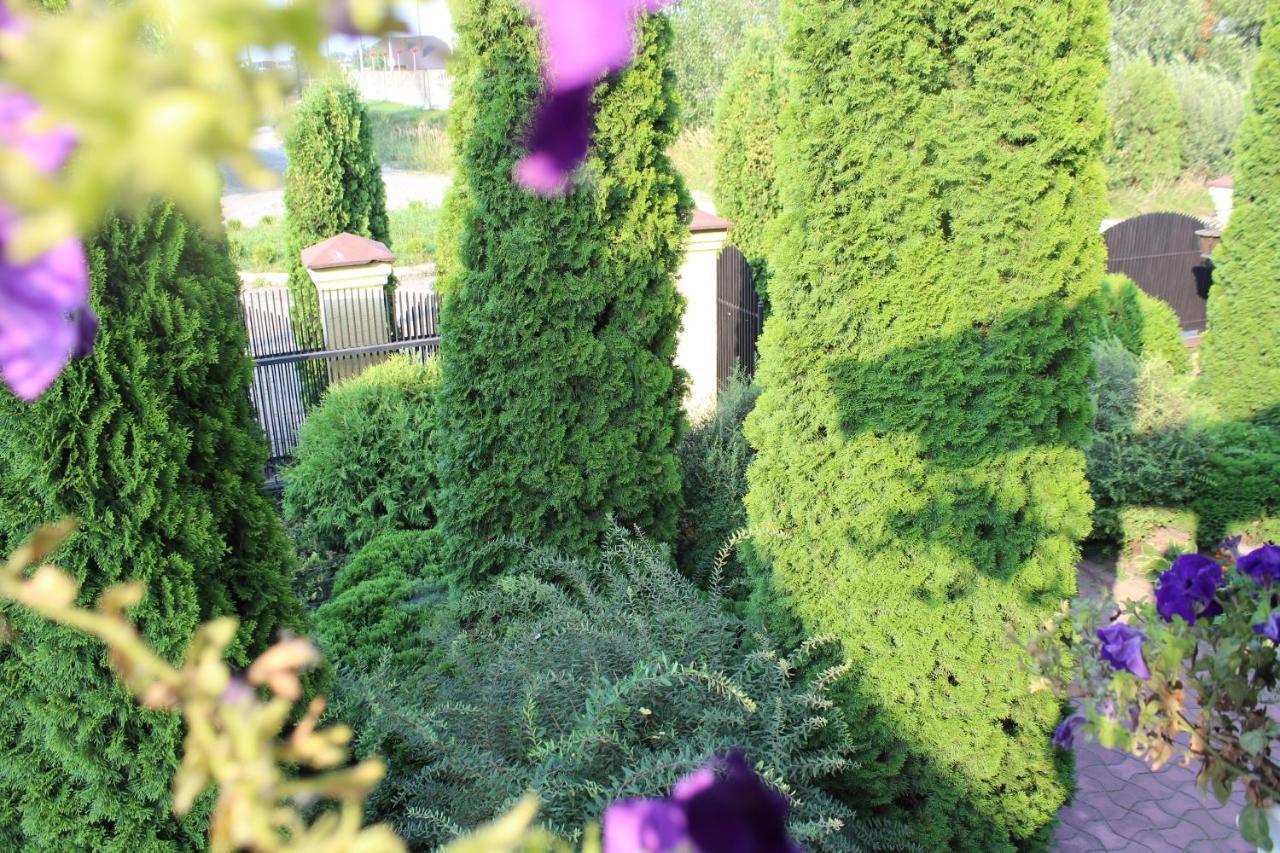 Zolota Pidkova Bed & Breakfast โคเวล ภายนอก รูปภาพ